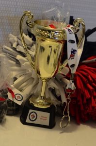 Hockey Trophy ~ Jets theme Sleepless Stamper Hockey Trophy